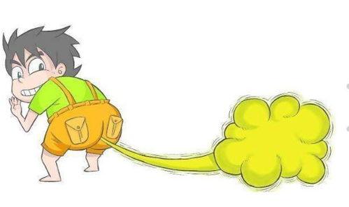 吃瓜晚上放屁,放屁背后的科学奥秘