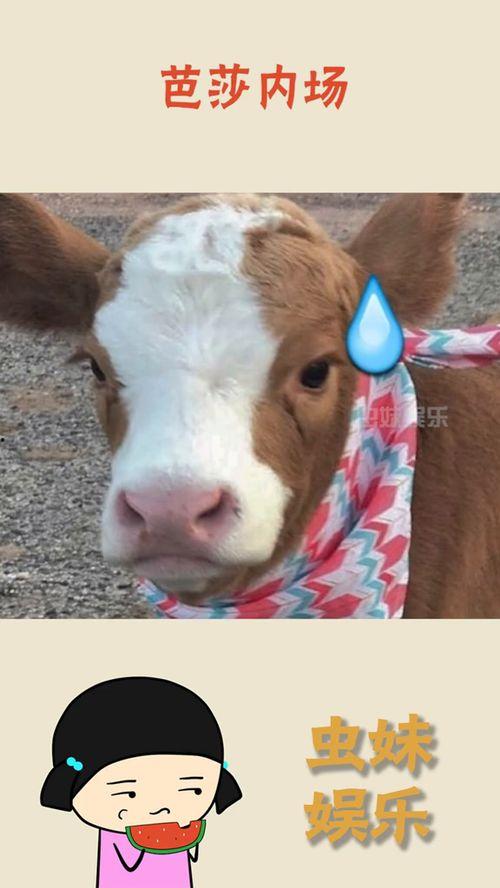 吃瓜抖音跳舞,一起跳进瓜田舞池！