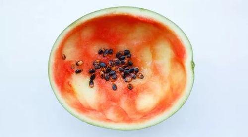 没勺子怎么吃瓜,创意吃瓜新体验