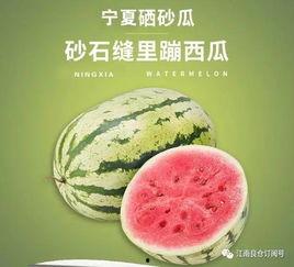 南昌江科吃瓜,一场吃瓜大戏的幕后真相