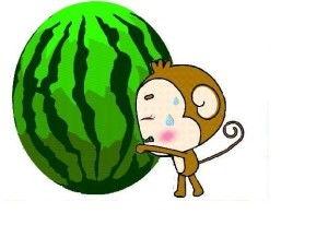 大嘴喜欢吃小瓜,小瓜的诱惑之旅