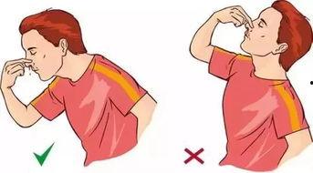 吃瓜不吐籽bl,揭秘瓜界那些事儿