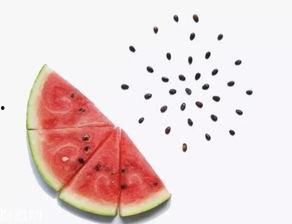 吃瓜不吐籽bl,揭秘瓜界那些事儿