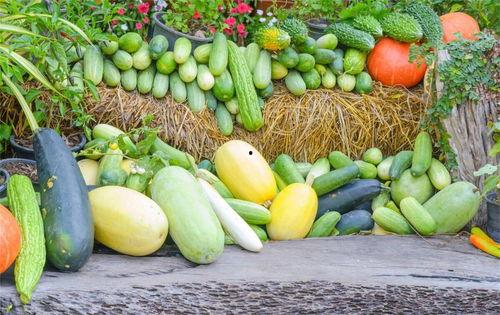 有钱吃瓜的图片,品味人生，笑看风云