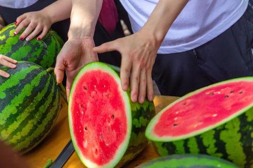 学校停电吃瓜,一场别开生面的校园生活趣事