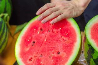 学校停电吃瓜,一场别开生面的校园生活趣事