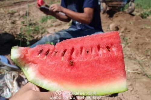 木木墩在线吃瓜,揭秘娱乐圈幕后风云