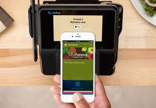 pay直播回放吃瓜,一场吃瓜群众的狂欢盛宴