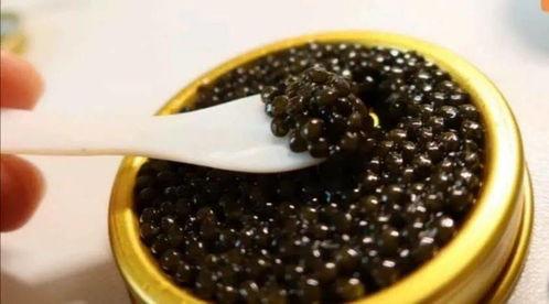 每日吃瓜鱼子酱,鱼子酱的奢华滋味