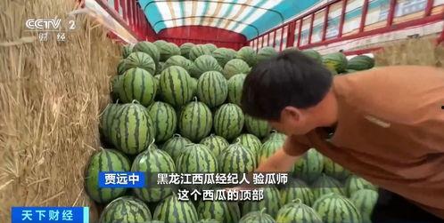 搬料吃瓜视频,揭秘娱乐圈幕后故事