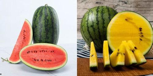 顺圈吃瓜,揭秘娱乐圈背后的故事与真相