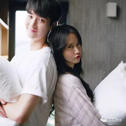 韩剧吃瓜头像女生,揭秘网络红人的魅力与争议