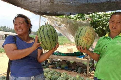 河北圆圆吃瓜挑战,掀起夏日清凉潮流