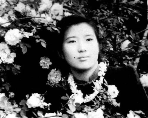 王达吃瓜,揭秘娱乐圈背后的那些事儿