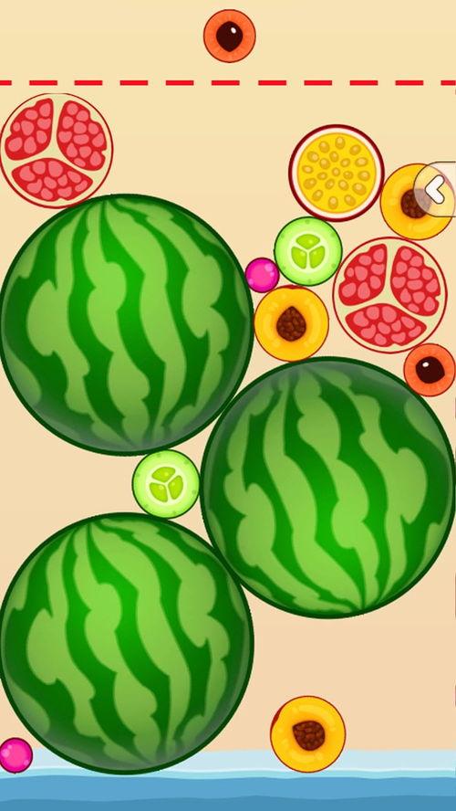 抖音最新瓜吃内脏,吃内脏背后的惊人真相