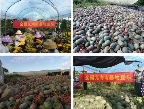 吃瓜组基地,网络舆论场的幕后推手