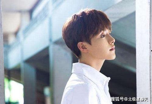 马天宇李明德吃瓜,娱乐圈的“瓜田”再起波澜