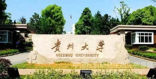 贵州大学吃瓜事件,一场校园风波引发的思考
