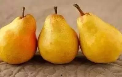 秋天吃瓜夏天吃果