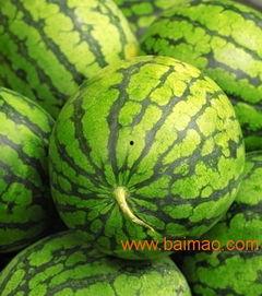 山东翰林府吃瓜,吃瓜群众的夏日盛宴