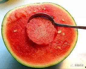 逗瓣吃瓜人才组,揭秘娱乐圈幕后风云