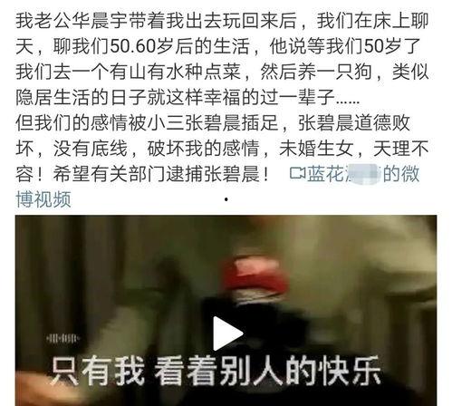 吃瓜博主被告,揭秘网络舆论背后的法律风险”