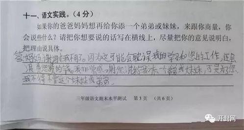 吃瓜群众面试试题,揭秘职场生存法则