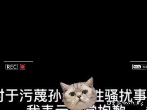 吃瓜吃的我恶心,竟致恶心不适，揭秘“瓜农”们的健康危机