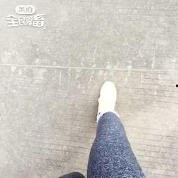 吃瓜虫子视频大全,虫界奇观大揭秘