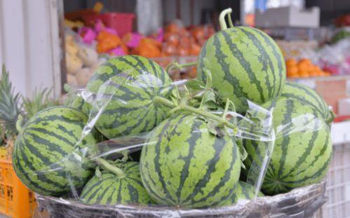 画完吃瓜,一场视觉盛宴的吃瓜之旅