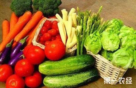 呆瓜的呆瓜吃美食,呆瓜的独特味蕾探险