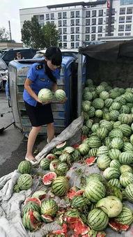 商丘吃瓜曝光,网络热议背后的真相揭秘