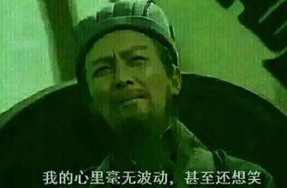 吃瓜表情包猴子,揭秘猴子的搞笑表情包世界