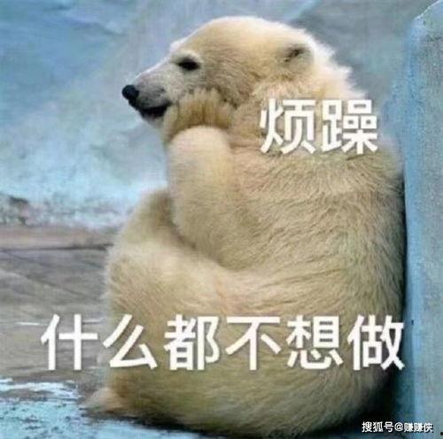 喂你吃瓜的图片,揭秘娱乐圈那些不为人知的幕后故事