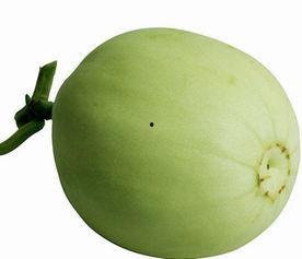 声控吃梨瓜,解锁吃梨瓜的神秘之旅