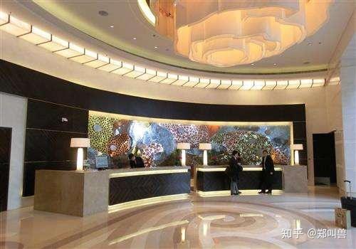 酒店前台遇吃瓜,一幕幕趣味横生