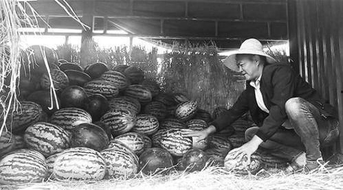 萧县吃瓜群众视频,揭秘当地独特民俗风情