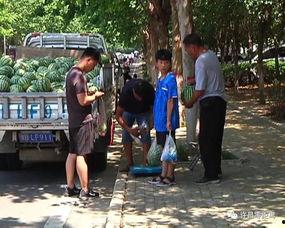 萧县吃瓜群众视频,揭秘当地独特民俗风情