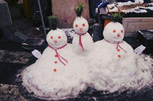 带你吃瓜奇葩雪人,揭秘带你吃瓜的奇葩雪人生
