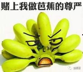 真心吃瓜,真心吃瓜，带你领略明星幕后故事