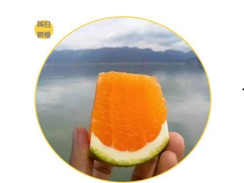 九九吃瓜趣事,揭秘娱乐圈那些不为人知的幕后故事