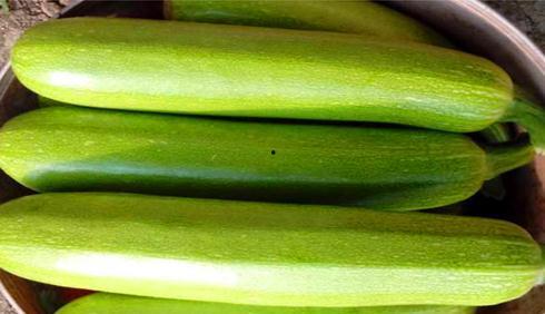 吃瓜绿色健康,揭秘健康饮食新风尚