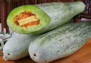 光头强吃蜜瓜,甜蜜滋味中的欢乐时光