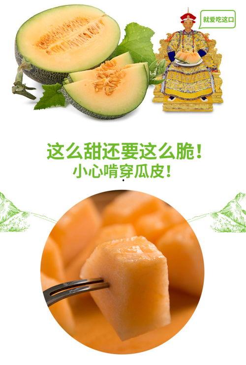 光头强吃蜜瓜,甜蜜滋味中的欢乐时光