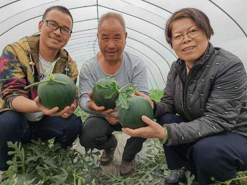 罗德岛的吃瓜群众,揭秘岛内热点事件背后的真相