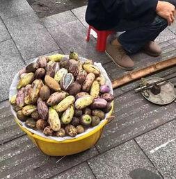 缅甸吃瓜扣扣群,揭秘社交圈中的独特现象