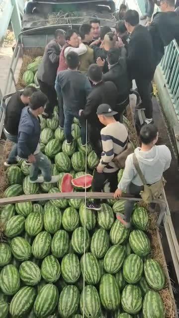 缅甸吃瓜扣扣群,揭秘社交圈中的独特现象