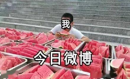 黑客吃瓜,揭秘网络世界的“吃瓜”风云