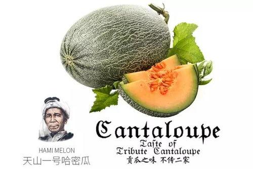 丝芭吃瓜号,揭秘娱乐圈背后的那些事儿