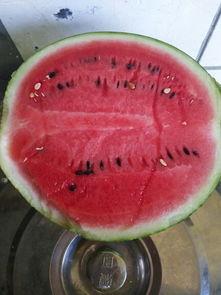 丝芭吃瓜号,揭秘娱乐圈背后的那些事儿